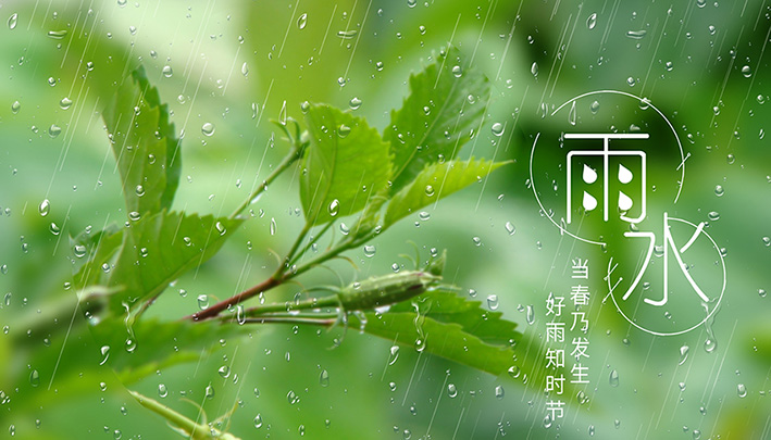 雨水，是時間的樣子